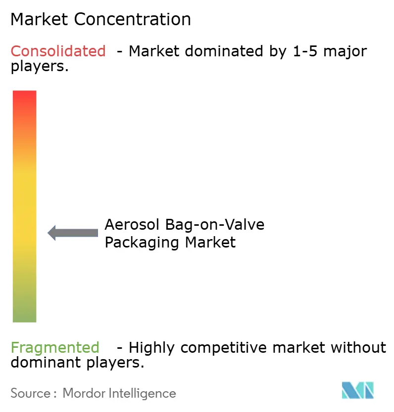 Aerosol Bag On Valve Packaging Market Concentration